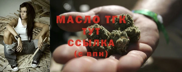 индика Вязьма