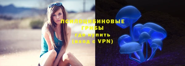 mix Вяземский