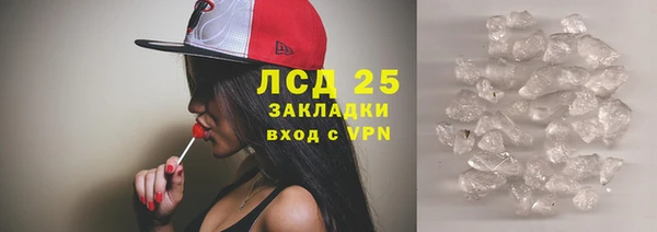 индика Вязьма