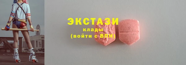 индика Вязьма